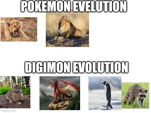 Blank White Template | POKEMON EVELUTION; DIGIMON EVOLUTION | image tagged in blank white template | made w/ Imgflip meme maker