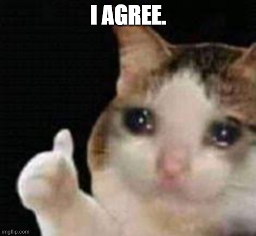Approved crying cat | I AGREE. | image tagged in approved crying cat | made w/ Imgflip meme maker