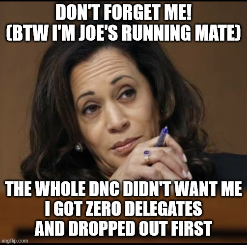 Kamala Harris  | DON'T FORGET ME!
(BTW I'M JOE'S RUNNING MATE) THE WHOLE DNC DIDN'T WANT ME
I GOT ZERO DELEGATES
AND DROPPED OUT FIRST | image tagged in kamala harris | made w/ Imgflip meme maker