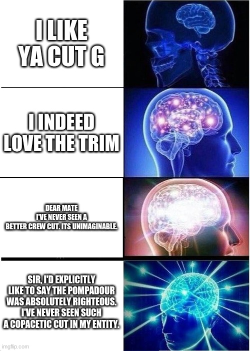 Expanding Brain | I LIKE YA CUT G; I INDEED LOVE THE TRIM; DEAR MATE I'VE NEVER SEEN A BETTER CREW CUT. ITS UNIMAGINABLE. SIR, I'D EXPLICITLY LIKE TO SAY THE POMPADOUR WAS ABSOLUTELY RIGHTEOUS. I'VE NEVER SEEN SUCH A COPACETIC CUT IN MY ENTITY. | image tagged in memes,expanding brain | made w/ Imgflip meme maker