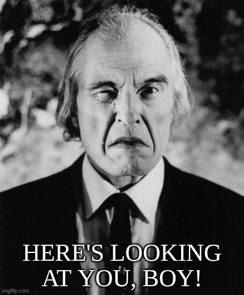 Tall Man 'Here's looking at you, boy!' *wink* | HERE'S LOOKING AT YOU, BOY! | image tagged in tall,man,phantasm,wink,boy,scrimm | made w/ Imgflip meme maker