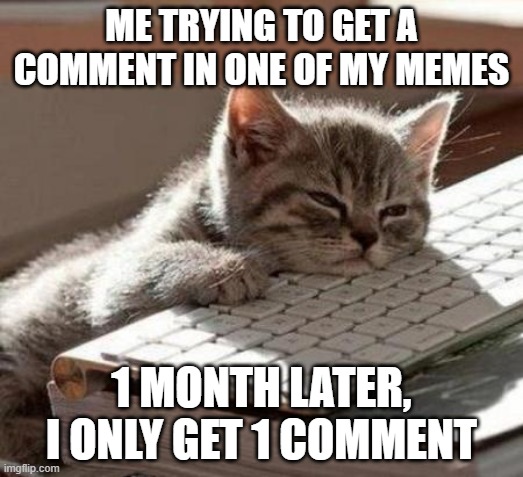 tired cat | ME TRYING TO GET A COMMENT IN ONE OF MY MEMES; 1 MONTH LATER, I ONLY GET 1 COMMENT | image tagged in tired cat,comments,nsfw | made w/ Imgflip meme maker