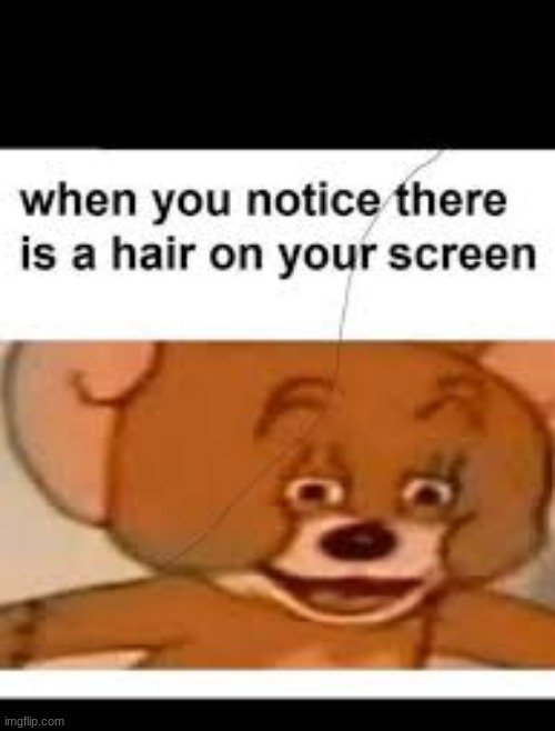 hahaha tricked you maybe idk | image tagged in memes,funny,gifs,not really a gif | made w/ Imgflip meme maker