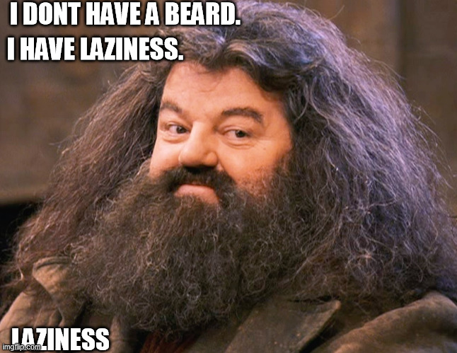Beard | I DONT HAVE A BEARD. I HAVE LAZINESS. LAZINESS | image tagged in boss of beards,laziness | made w/ Imgflip meme maker