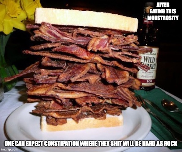 Bacon Sandwich | AFTER EATING THIS MONSTROSITY; ONE CAN EXPECT CONSTIPATION WHERE THEY SHIT WILL BE HARD AS ROCK | image tagged in bacon,sandwich,memes,food | made w/ Imgflip meme maker