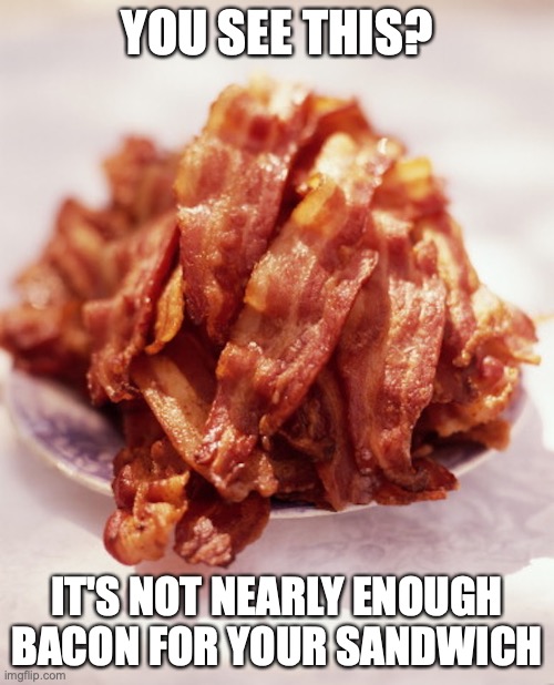 Pile of Bacon | YOU SEE THIS? IT'S NOT NEARLY ENOUGH BACON FOR YOUR SANDWICH | image tagged in bacon,memes,food | made w/ Imgflip meme maker