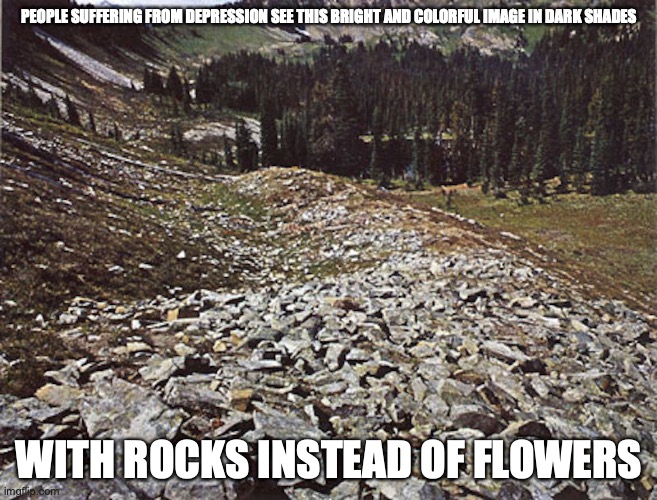 Depressive Scenery | PEOPLE SUFFERING FROM DEPRESSION SEE THIS BRIGHT AND COLORFUL IMAGE IN DARK SHADES; WITH ROCKS INSTEAD OF FLOWERS | image tagged in depression,memes,scenery | made w/ Imgflip meme maker