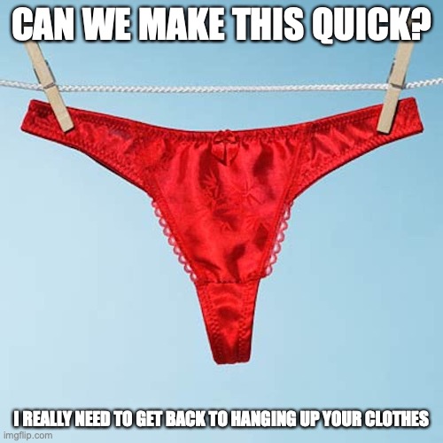 Thong on Clothesline | CAN WE MAKE THIS QUICK? I REALLY NEED TO GET BACK TO HANGING UP YOUR CLOTHES | image tagged in thong,memes | made w/ Imgflip meme maker
