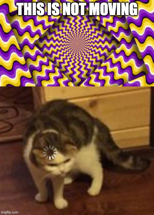 lol | THIS IS NOT MOVING | image tagged in loading cat | made w/ Imgflip meme maker
