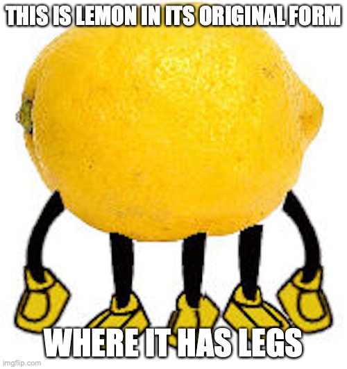 Lemony Legs | THIS IS LEMON IN ITS ORIGINAL FORM; WHERE IT HAS LEGS | image tagged in legs,lemon,fruit,memes | made w/ Imgflip meme maker