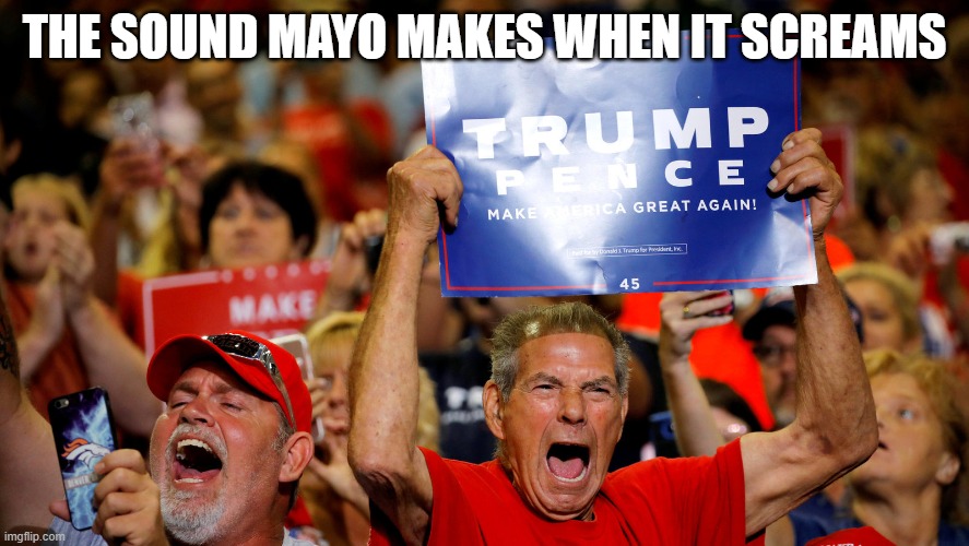 THE SOUND MAYO MAKES WHEN IT SCREAMS | made w/ Imgflip meme maker