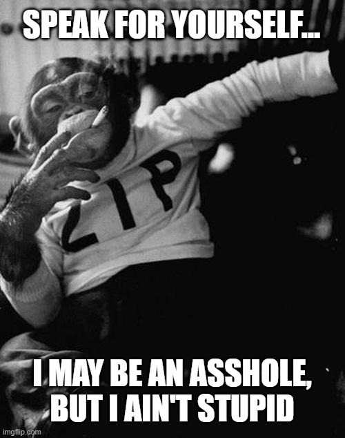 smoking monkey  | I MAY BE AN ASSHOLE, BUT I AIN'T STUPID SPEAK FOR YOURSELF... | image tagged in smoking monkey | made w/ Imgflip meme maker