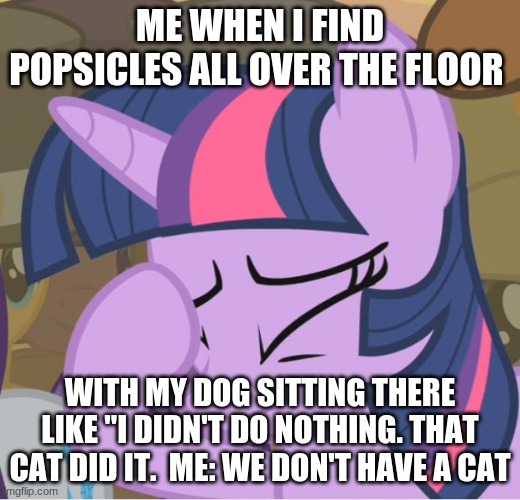Mlp Twilight Sparkle facehoof | ME WHEN I FIND POPSICLES ALL OVER THE FLOOR; WITH MY DOG SITTING THERE LIKE "I DIDN'T DO NOTHING. THAT CAT DID IT.  ME: WE DON'T HAVE A CAT | image tagged in mlp twilight sparkle facehoof | made w/ Imgflip meme maker