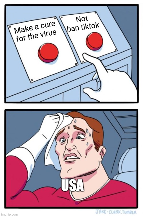 Two Buttons |  Not ban tiktok; Make a cure for the virus; USA | image tagged in memes,two buttons | made w/ Imgflip meme maker