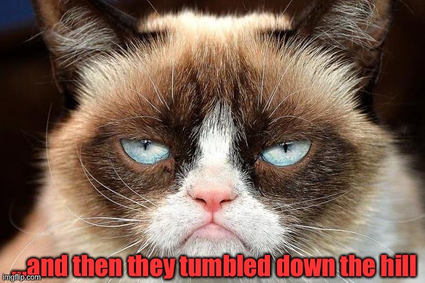 Grumpy Cat Not Amused Meme | ...and then they tumbled down the hill | image tagged in memes,grumpy cat not amused,grumpy cat | made w/ Imgflip meme maker