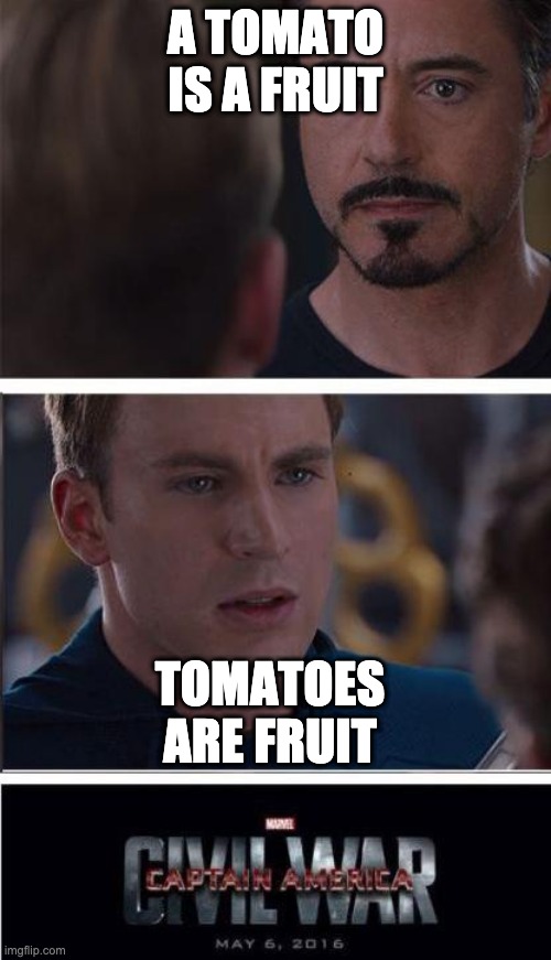 Marvel Civil War 2 | A TOMATO IS A FRUIT; TOMATOES ARE FRUIT | image tagged in memes,marvel civil war 2 | made w/ Imgflip meme maker