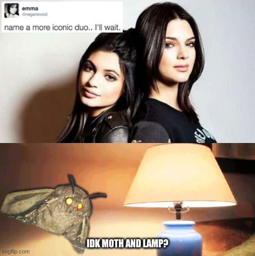 Moth and Lamp | IDK MOTH AND LAMP? | image tagged in moth meme | made w/ Imgflip meme maker