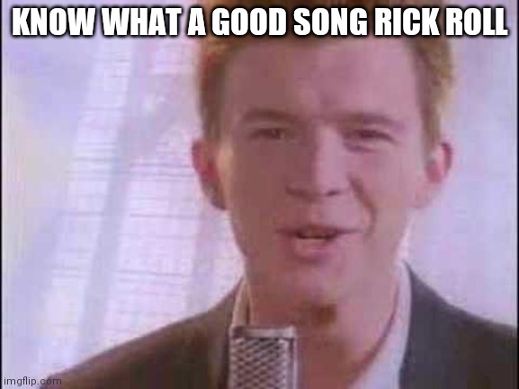 rick roll |  KNOW WHAT A GOOD SONG RICK ROLL | image tagged in rick roll | made w/ Imgflip meme maker