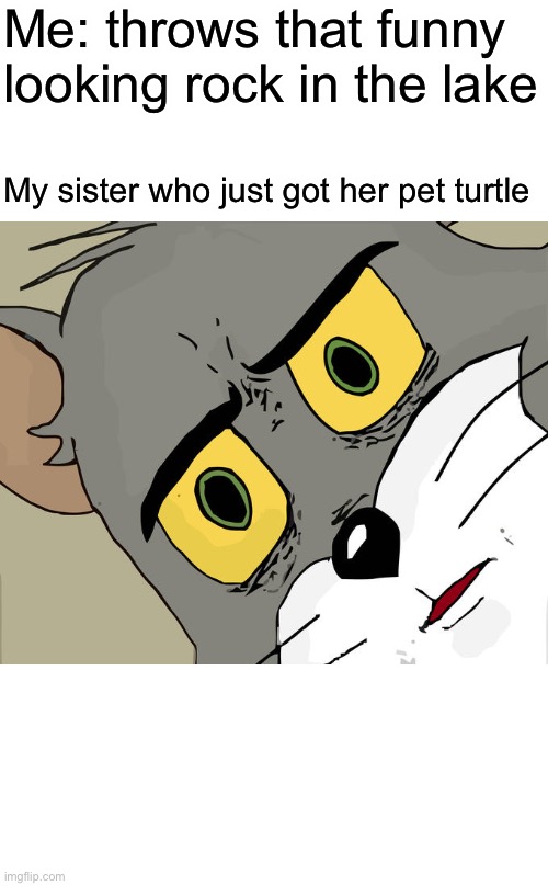 Oops | Me: throws that funny looking rock in the lake; My sister who just got her pet turtle | image tagged in memes,unsettled tom | made w/ Imgflip meme maker