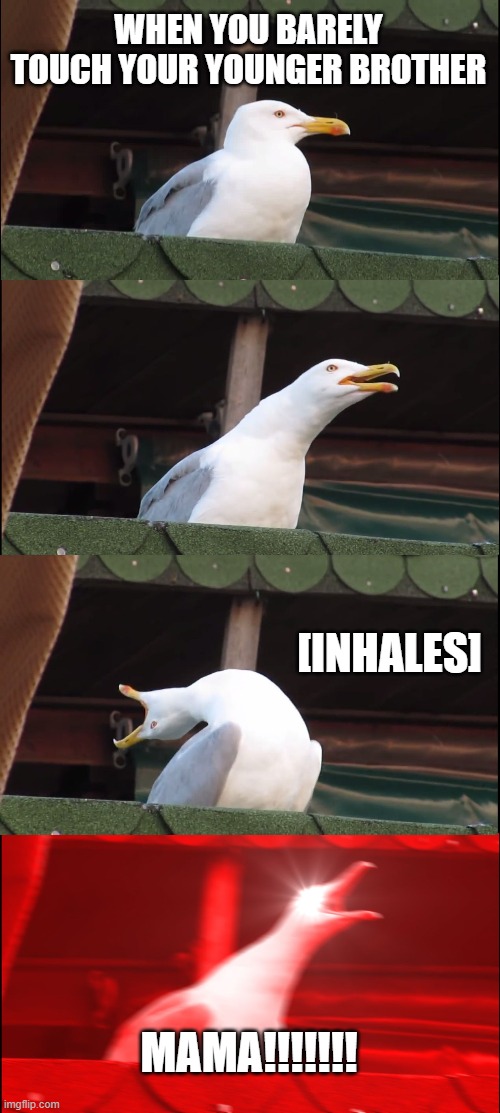 Inhaling Seagull Meme | WHEN YOU BARELY TOUCH YOUR YOUNGER BROTHER; [INHALES]; MAMA!!!!!!! | image tagged in memes,inhaling seagull | made w/ Imgflip meme maker