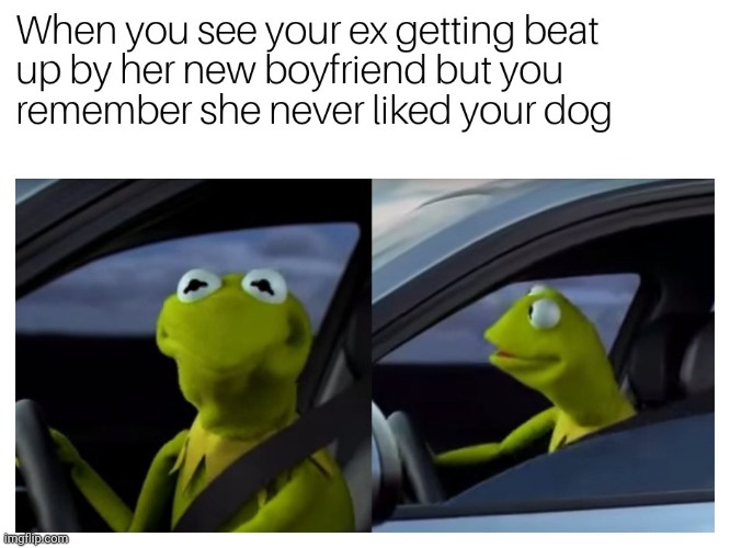 you didnt like my dog so should i care? | image tagged in gotanypain | made w/ Imgflip meme maker