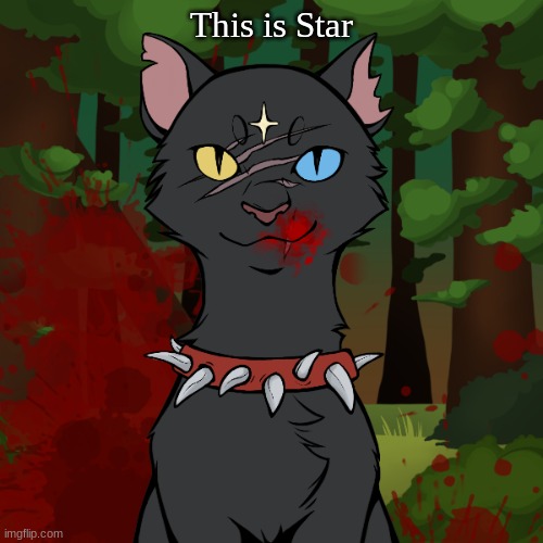 Meet Star | This is Star | made w/ Imgflip meme maker