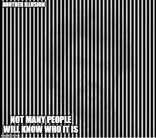 another shake your head illusion | ANOTHER ILLUSION; NOT MANY PEOPLE WILL KNOW WHO IT IS | image tagged in illusions | made w/ Imgflip meme maker