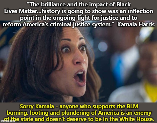 Krazy Kamala supports BLM terror | “The brilliance and the impact of Black Lives Matter…history is going to show was an inflection point in the ongoing fight for justice and to reform America’s criminal justice system.”  Kamala Harris; Sorry Kamala - anyone who supports the BLM burning, looting and plundering of America is an enemy of the state and doesn't deserve to be in the White House. | image tagged in kamala harriss | made w/ Imgflip meme maker