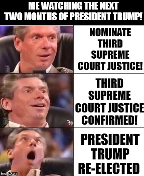 Me Watching The Next Two Months Of President Trump! | image tagged in stupid liberals | made w/ Imgflip meme maker