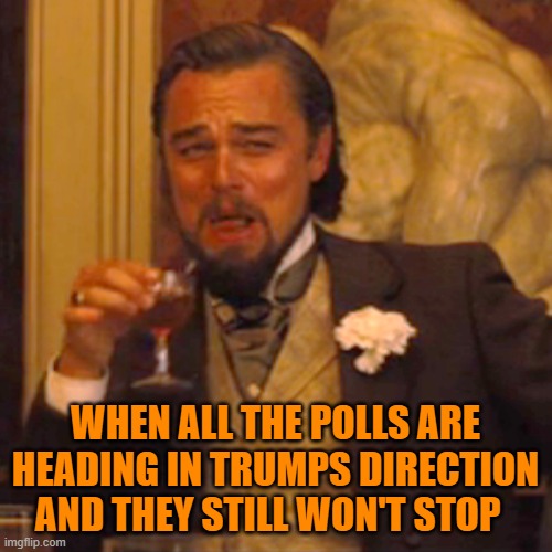 Laughing Leo Meme | WHEN ALL THE POLLS ARE HEADING IN TRUMPS DIRECTION AND THEY STILL WON'T STOP | image tagged in laughing leo | made w/ Imgflip meme maker