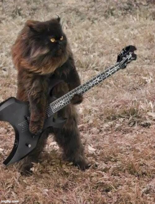 Heavy Metal Kitty | image tagged in heavy metal kitty,here kitty kitty kitty,faster pussycat ii | made w/ Imgflip meme maker