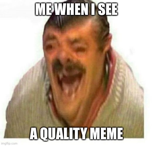 Risitas | ME WHEN I SEE; A QUALITY MEME | image tagged in warped el risitas | made w/ Imgflip meme maker