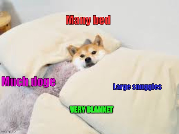 doge bed | Many bed; Large snuggles; Much doge; VERY BLANKET | image tagged in doge bed | made w/ Imgflip meme maker