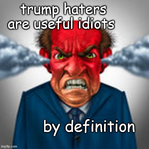 useful idiots | trump haters are useful idiots; by definition | image tagged in politics | made w/ Imgflip meme maker