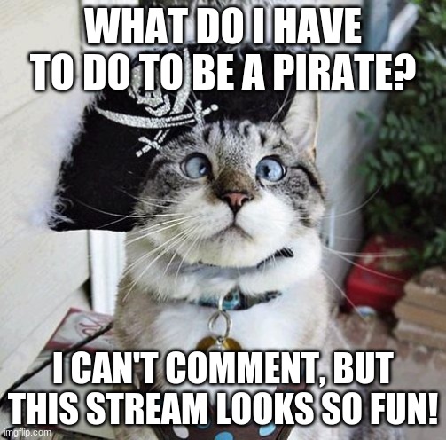 Love, RocketcatM30W |  WHAT DO I HAVE TO DO TO BE A PIRATE? I CAN'T COMMENT, BUT THIS STREAM LOOKS SO FUN! | image tagged in memes,spangles | made w/ Imgflip meme maker