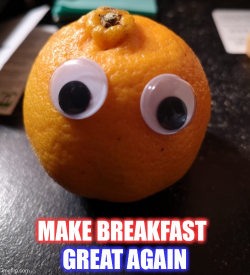 No words orange | MAKE BREAKFAST GREAT AGAIN | image tagged in no words orange | made w/ Imgflip meme maker