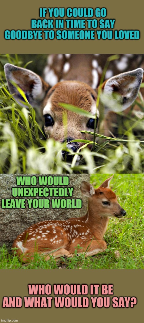 I would tell Timiddeer she made Imgflip a kinder place with her sweet charm | IF YOU COULD GO BACK IN TIME TO SAY GOODBYE TO SOMEONE YOU LOVED; WHO WOULD UNEXPECTEDLY LEAVE YOUR WORLD; WHO WOULD IT BE AND WHAT WOULD YOU SAY? | image tagged in fawny,timid deer | made w/ Imgflip meme maker