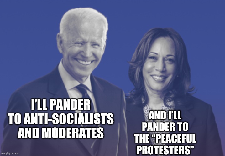 Pandering | I’LL PANDER TO ANTI-SOCIALISTS AND MODERATES; AND I’LL PANDER TO THE “PEACEFUL PROTESTERS” | image tagged in biden harris 2020 | made w/ Imgflip meme maker