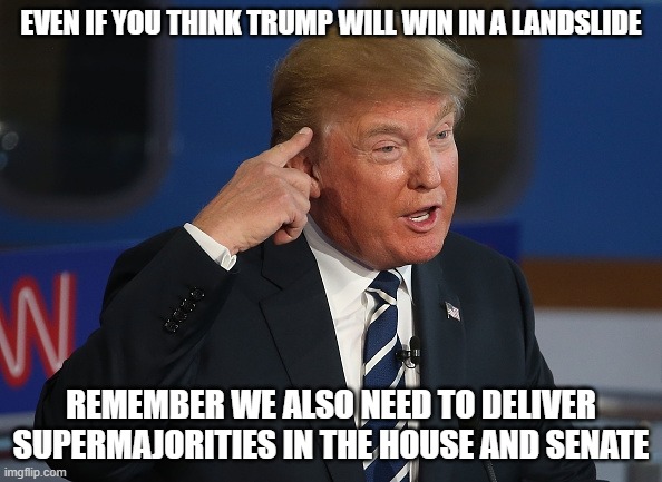 Get your butts out and vote Trump! | EVEN IF YOU THINK TRUMP WILL WIN IN A LANDSLIDE; REMEMBER WE ALSO NEED TO DELIVER SUPERMAJORITIES IN THE HOUSE AND SENATE | image tagged in donald trump,politics,election 2020,house,senate,armageddon | made w/ Imgflip meme maker