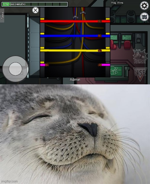 FRESH SATISFACTION | image tagged in memes,satisfied seal | made w/ Imgflip meme maker