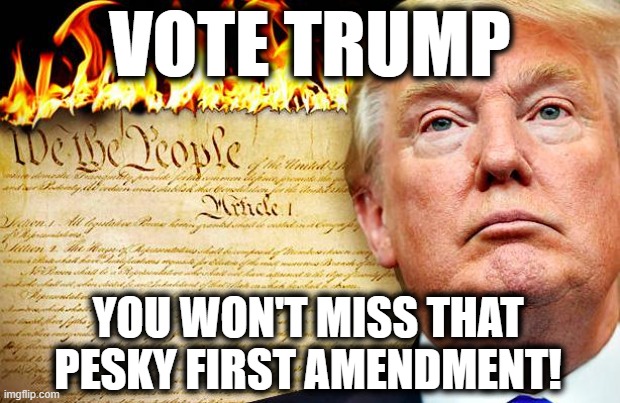 You'll miss it when it's gone. | VOTE TRUMP; YOU WON'T MISS THAT PESKY FIRST AMENDMENT! | image tagged in donald trump,constitution,first amendment,traitor,election 2020,stupid | made w/ Imgflip meme maker