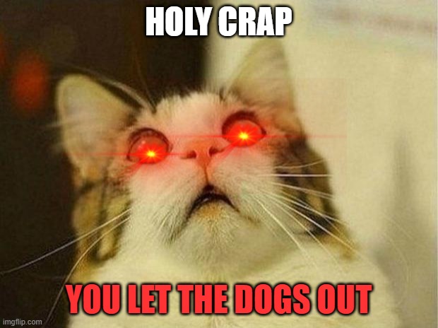 Scared Cat Meme | HOLY CRAP; YOU LET THE DOGS OUT | image tagged in memes,scared cat | made w/ Imgflip meme maker