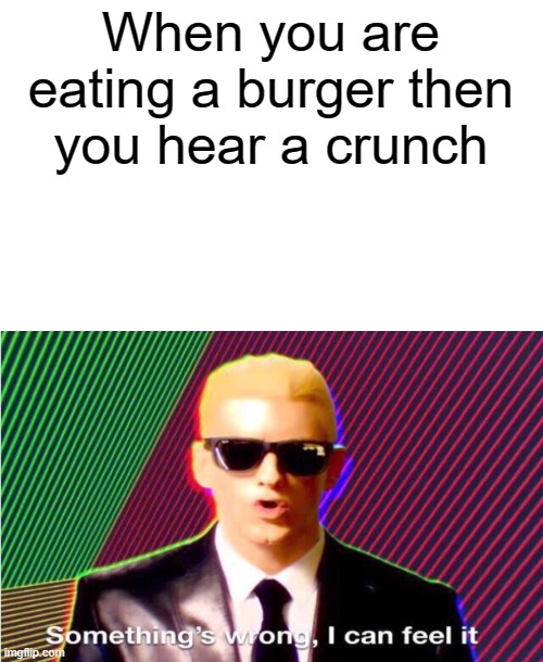 Pickles... | When you are eating a burger then you hear a crunch | image tagged in something s wrong | made w/ Imgflip meme maker