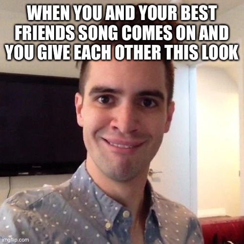 WHEN YOU AND YOUR BEST FRIENDS SONG COMES ON AND YOU GIVE EACH OTHER THIS LOOK | image tagged in brendon urie,panic at the disco | made w/ Imgflip meme maker