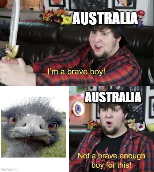 Those emus sure are scary |  AUSTRALIA; AUSTRALIA | image tagged in jontron,memes,emu,great emu war,history,australia | made w/ Imgflip meme maker