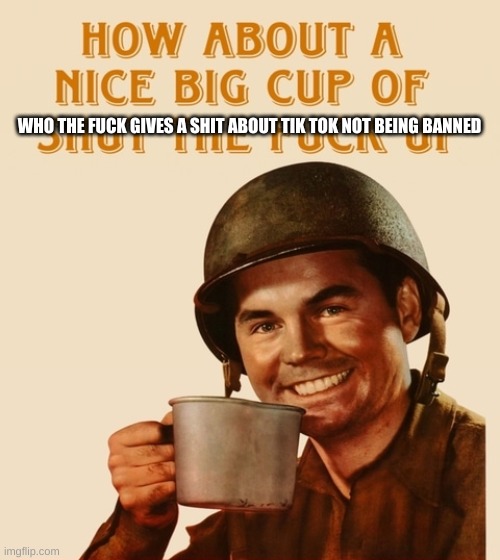 How about a nice big cup | WHO THE FUCK GIVES A SHIT ABOUT TIK TOK NOT BEING BANNED | image tagged in how about a nice big cup | made w/ Imgflip meme maker
