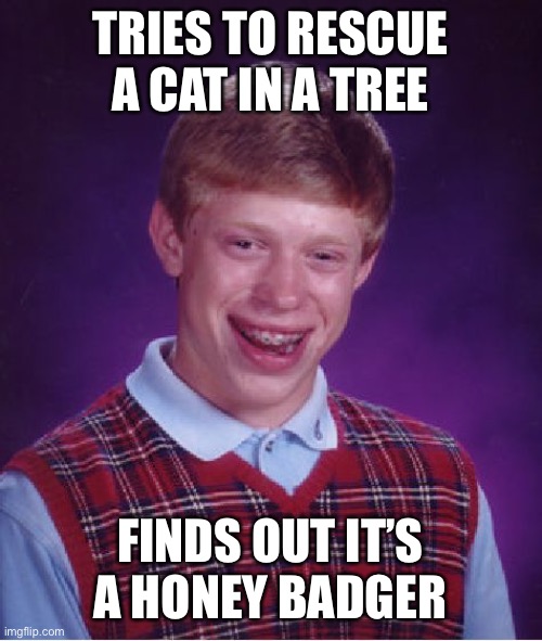 That’s gonna leave a mark | TRIES TO RESCUE A CAT IN A TREE; FINDS OUT IT’S A HONEY BADGER | image tagged in memes,bad luck brian | made w/ Imgflip meme maker