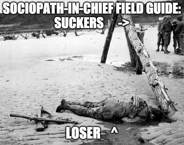 field guide | SOCIOPATH-IN-CHIEF FIELD GUIDE:

SUCKERS      ->; LOSER    ^ | image tagged in donald trump | made w/ Imgflip meme maker