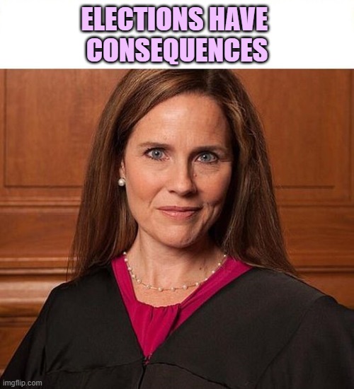 Meet your next Associate Supreme Court Justice | ELECTIONS HAVE 
CONSEQUENCES | image tagged in scotus,trump,maga,silent majority | made w/ Imgflip meme maker