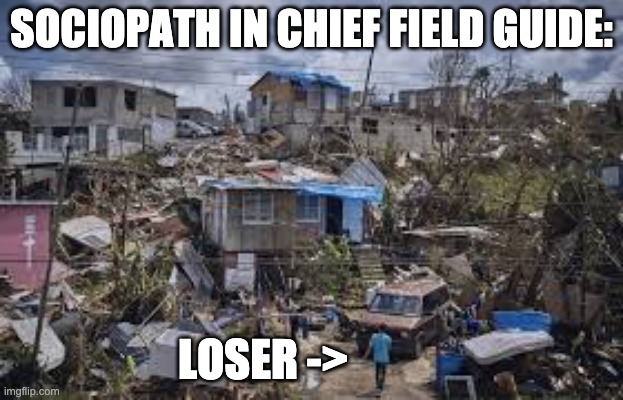 field guide | SOCIOPATH IN CHIEF FIELD GUIDE:; LOSER -> | image tagged in donald trump | made w/ Imgflip meme maker